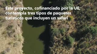 Video: Así es uno de los paraísos del mundo para avistar aves