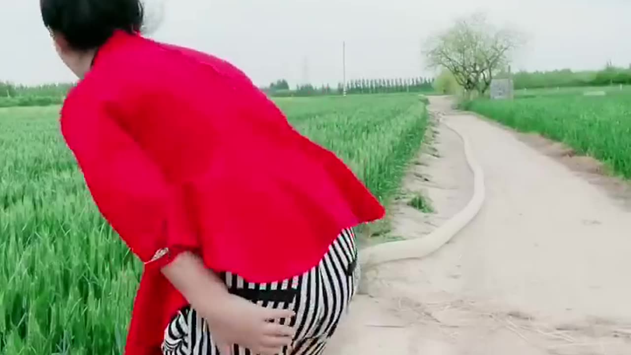 Chinese funny video