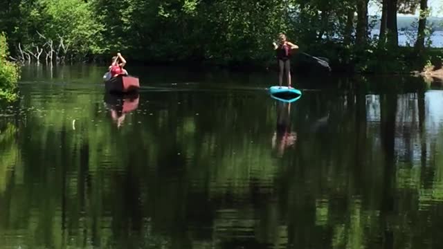 Memories of Summer 2020 Fun Paddle boarding Ontario Canada