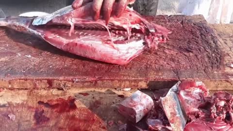 Satisfying Tuna Cutting