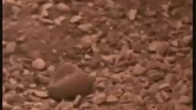 10.5 o dia que a terra não aguentou