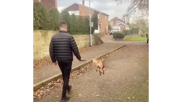 This is the only video i need