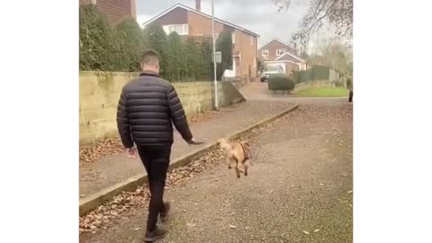 This is the only video i need