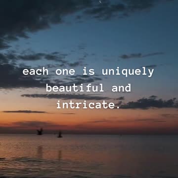 Girls are like snowflakes; no two are the same...