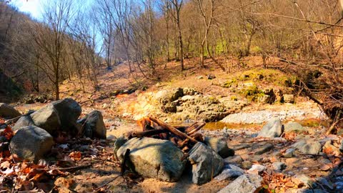 Listen to the Silence. Fire. Relaxing Nature Sounds For Sleeping and Relaxing