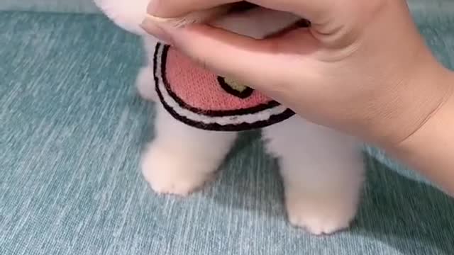 Cute Puppies Doing Funny Things! Baby Dogs Cute and Funny Dog Videos