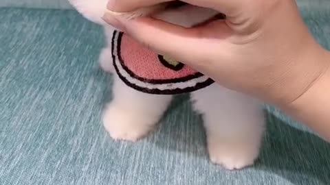 Cute Puppies Doing Funny Things! Baby Dogs Cute and Funny Dog Videos