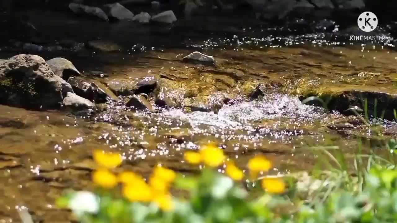 Relaxing Piano with water flow sound