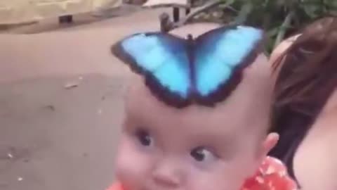 Cute baby and her butterfly