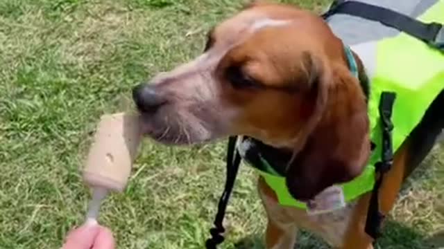 5.National Ice Cream Day!