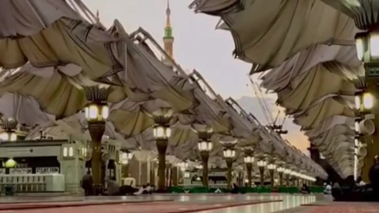 Saudi Arabia. The World's Largest Parasols