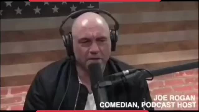 Joe rogan exposing bohemian grove