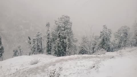 Snow fall
