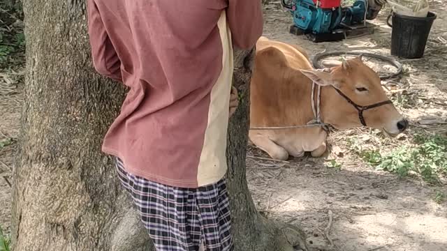 This is amazing game on Africa Bangladesh.