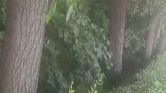 Beautiful scenery of nature