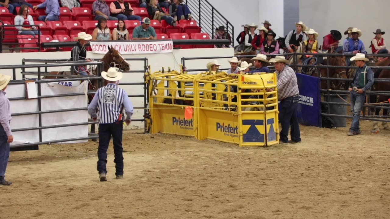 Calf roping at South Point, Las Vegas on May 5, 2018.