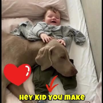 Pawsitively Perfect Duos You Never Knew Existed