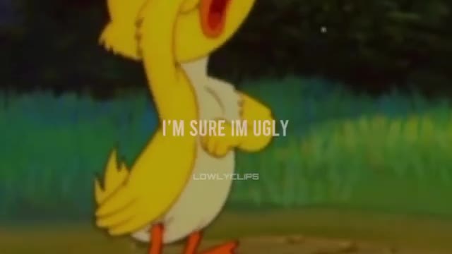 Little duck