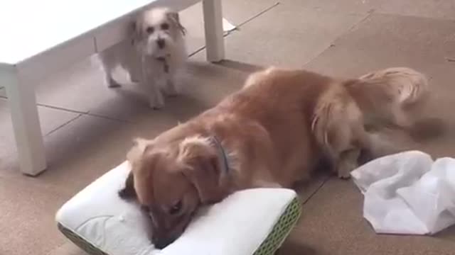 This is mine!!