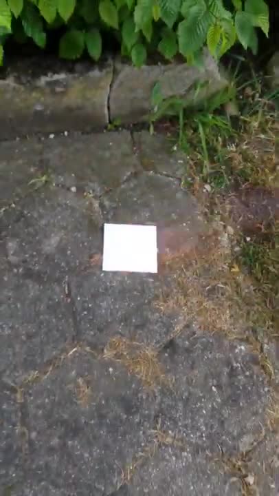 HANS GET ZE FLAMMENWERFER!