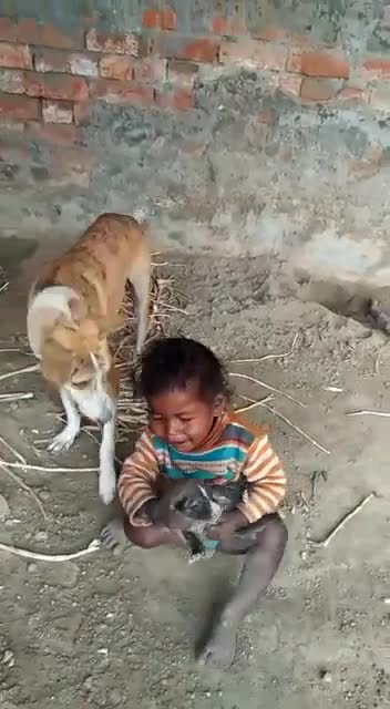 Compassion-Affection-Love-Care?