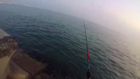 LANDED MY FIRST BIGGEST FISH IN LURE FISHING _ MEDIUM LIGHT SHORE CASTING