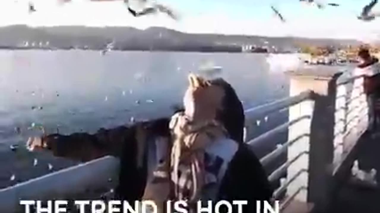 Win Funny