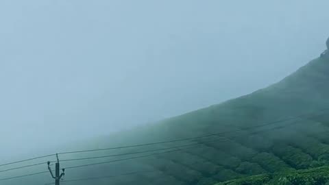 Munnar India