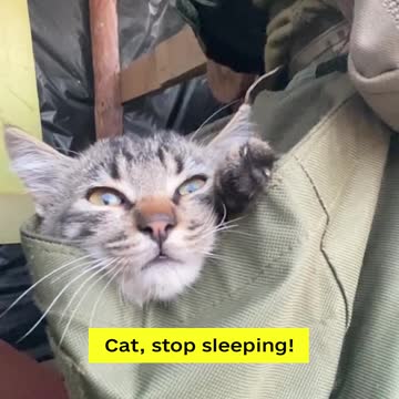 Each warrior should have his own talisman that saves him