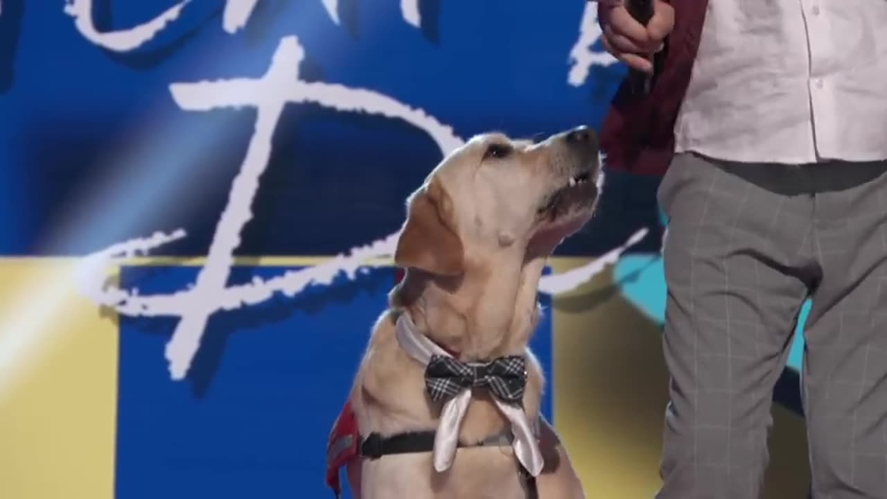 Ahren Belisle will make you laugh with his HILARIOUS stand-up comedy! | Finals | AGT 2023