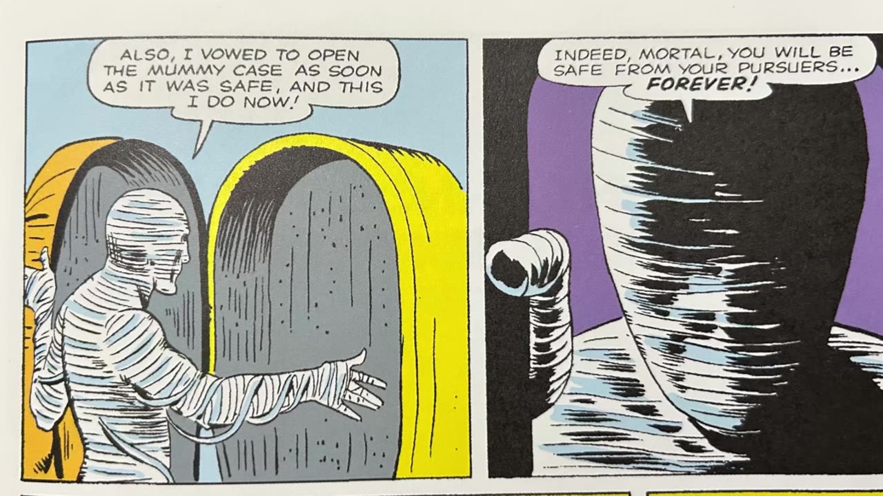 MAN IN THE MUMMY CASE 2