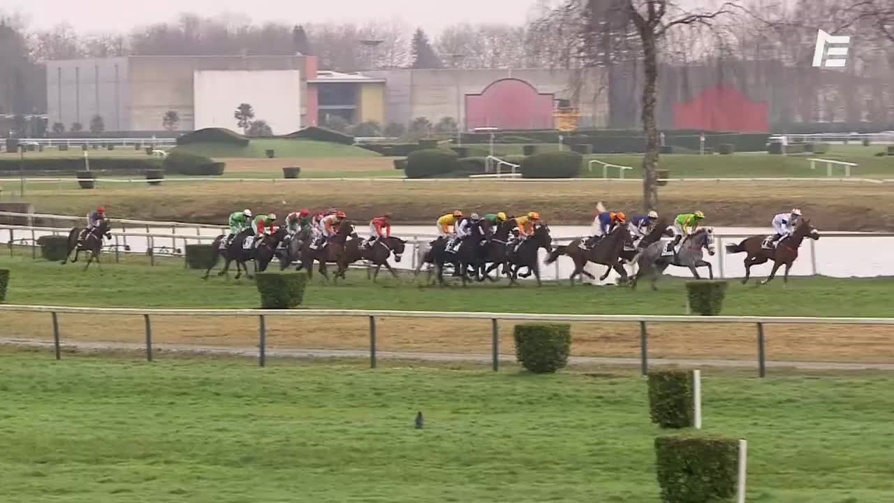 QUINTE+ Queenie's cash - Pau - Prix Annie Hutton - 05.02.20