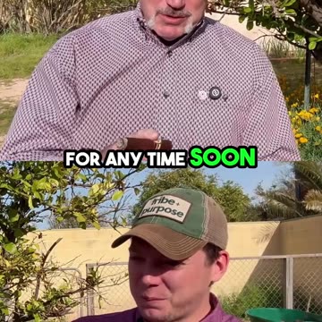 Time With Your Tribe- Dogs Included | 10x Your Team with Cam & Otis