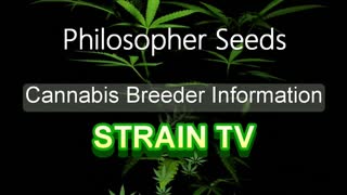 Philosopher Seeds - Cannabis Strain Series - STRAIN TV