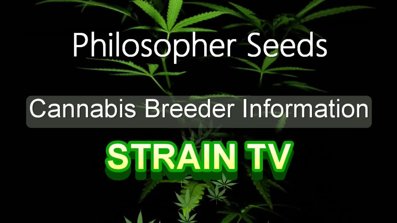 Philosopher Seeds - Cannabis Strain Series - STRAIN TV