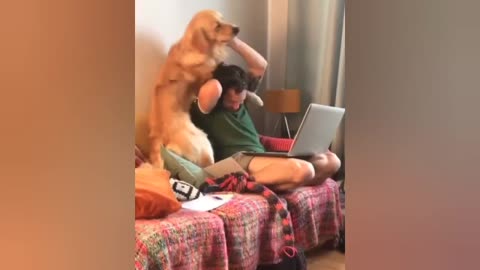 This dog loves his owner so much😍