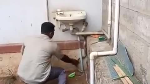 Brave man with deadliest king cobra