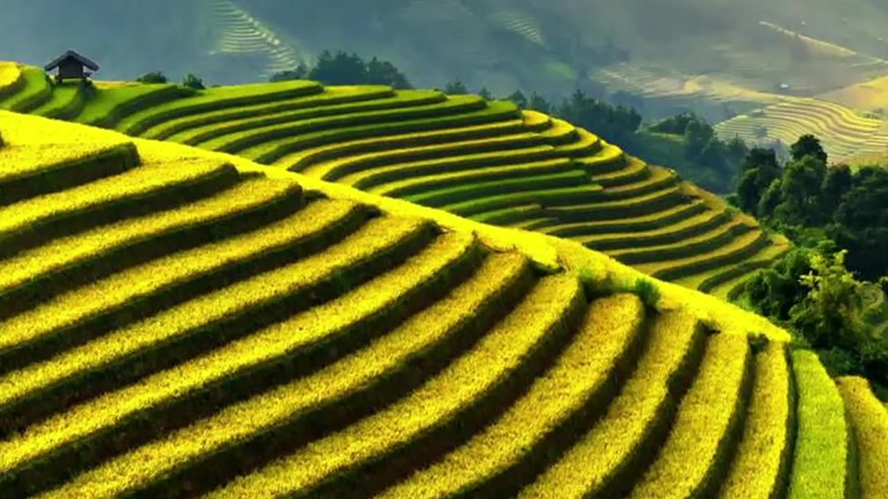 Mu Cang Chai's Mesmerizing Terraces