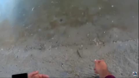 Australia #Fishing #fish leap out of water onto shore.