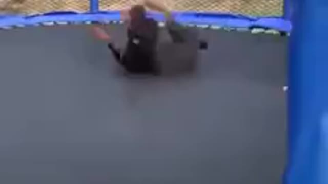 Wholesome Doggo And Kid Jump On A Trampoline