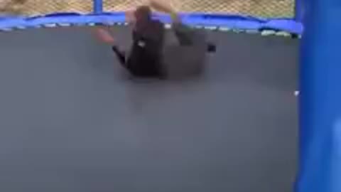 Wholesome Doggo And Kid Jump On A Trampoline