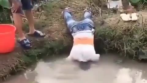 This is a beautiful and charming water-dwelling species