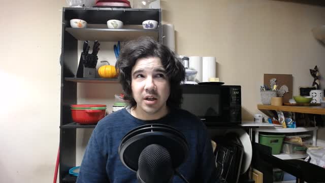 Some Thoughts About Animals