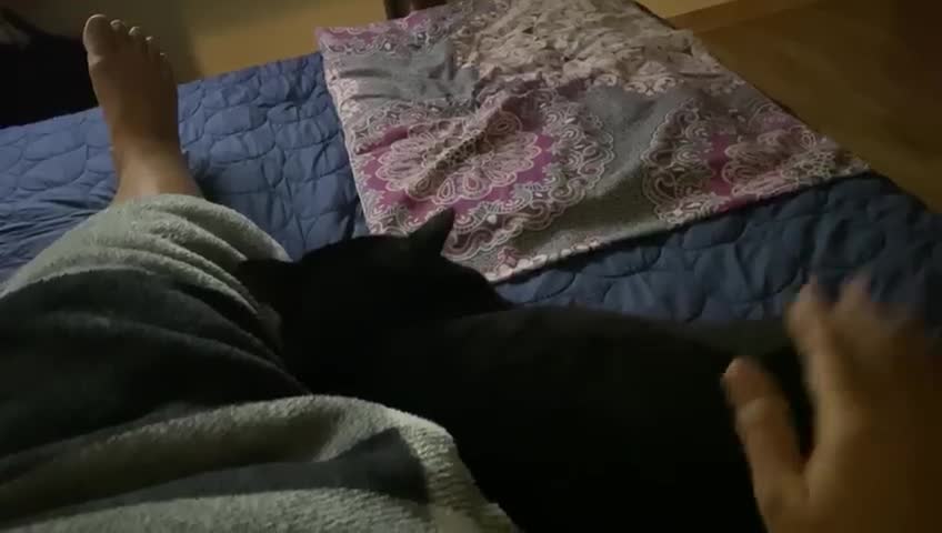 Yesterday night he scared monster under the bed. Today he sleep next to me.