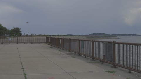 More Seagulls at the beach in Boston, Ma