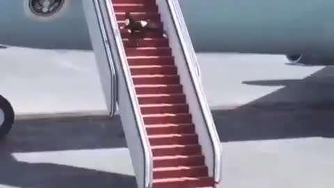 Your man Funny falling with stairs