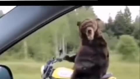 Россия против сша