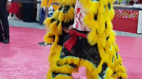 Dragon Dance