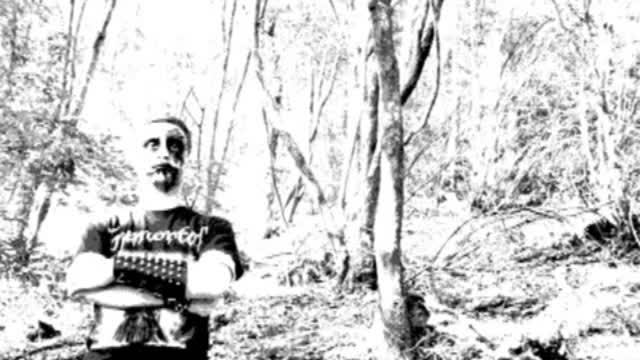 Through the Dark - Hecatomb Inciting