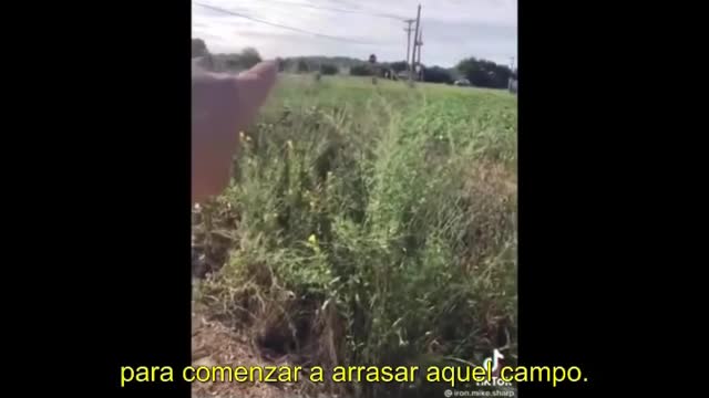 ¿Nueva crisis global? Energía y alimentos